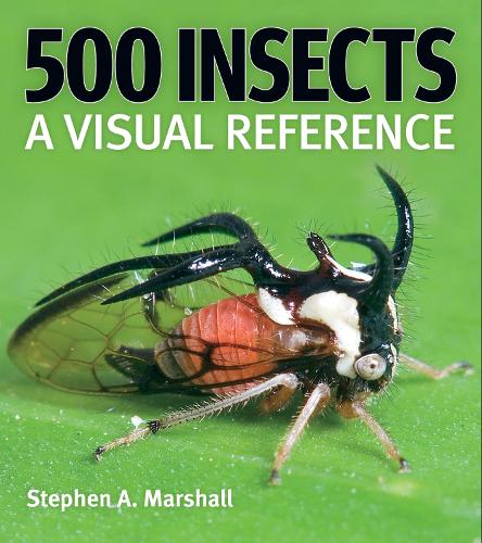 Бумажная книга «500 Insects: A Visual Reference» - фото №1