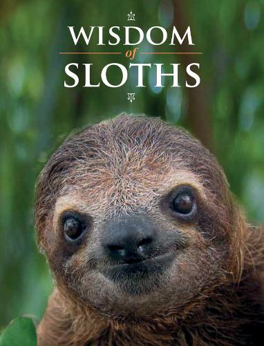 Паперова книга «Wisdom of Sloths» - фото №1