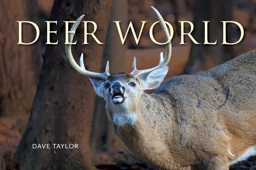 Paper book «Deer World», author Дейв Тейлор / Дейв Тейлор /  - фото №1