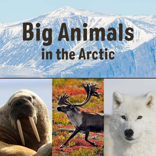 Бумажная книга «Big Animals in the Arctic: English Edition», автор Arvaaq Press - фото №1