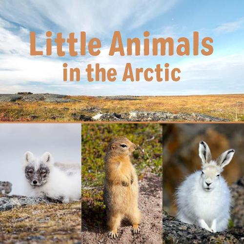 Бумажная книга «Little Animals in the Arctic: English Edition», автор Arvaaq Press - фото №1