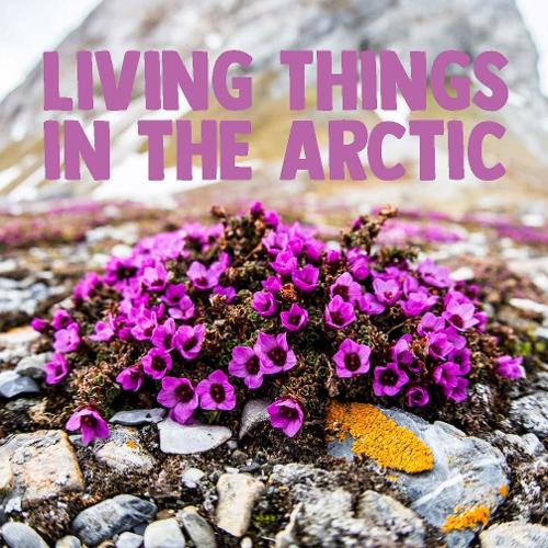 Паперова книга «Living Things in the Arctic: English Edition», автор Arvaaq Press - фото №1