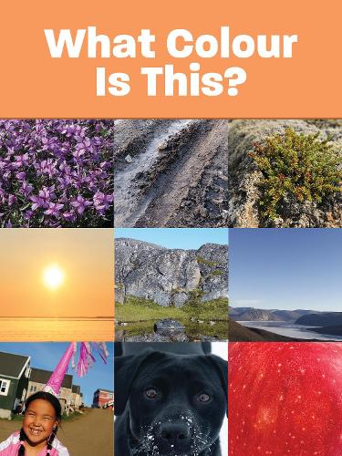 Бумажная книга «What Colour Is This?: English Edition», автор Arvaaq Press - фото №1