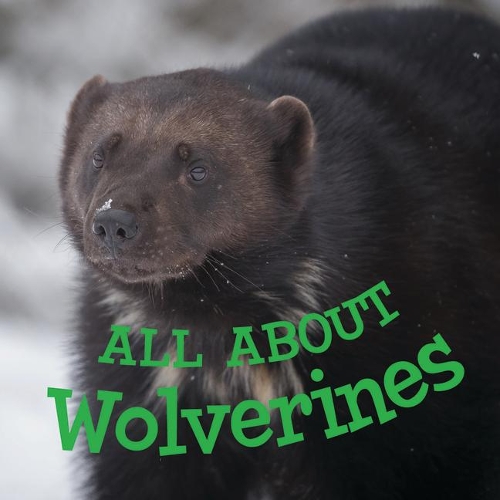 Бумажная книга «All about Wolverines: English Edition», автор Джордан Хоффман - фото №1