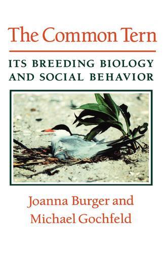 Паперова книга «The Common Tern: Its Breeding Biology and Social Behavior», авторів Джоанна Бургер, Майкл Гохфельд - фото №1