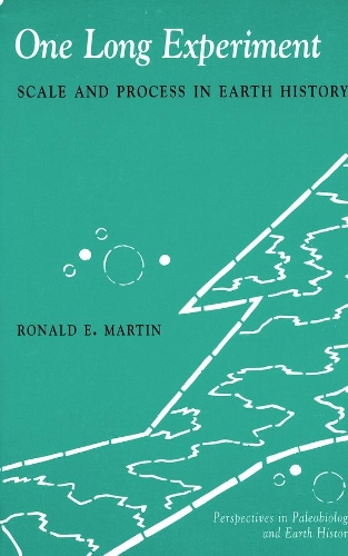 Бумажная книга «One Long Experiment: Scale and Process in Human History», автор Рональд Мартин - фото №1