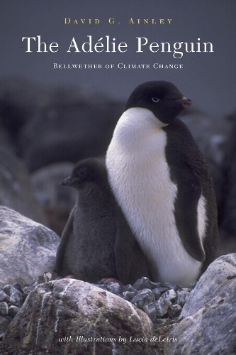 Бумажная книга «The Adélie Penguin: Bellwether of Climate Change», автор Дэвид Эйнли - фото №1