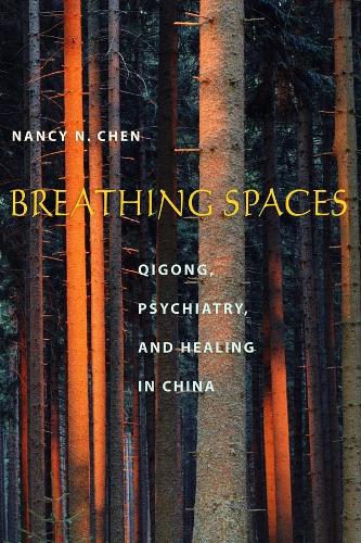 Паперова книга «Breathing Spaces: Qigong, Psychiatry, and Healing in China», автор Ненсі Чен - фото №1