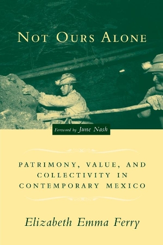 Паперова книга «Not Ours Alone: Patrimony, Value, and Collectivity in Contemporary Mexico», автор Елізабет Емма Феррі - фото №1