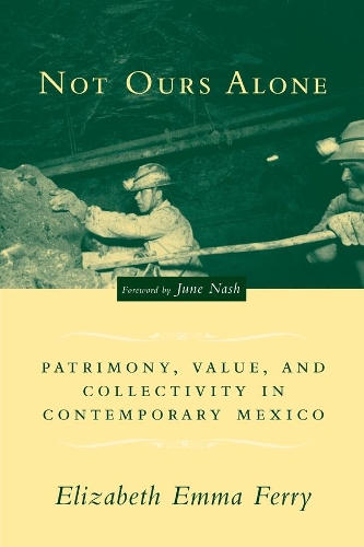 Паперова книга «Not Ours Alone: Patrimony, Value, and Collectivity in Contemporary Mexico», автор Елізабет Емма Феррі - фото №1