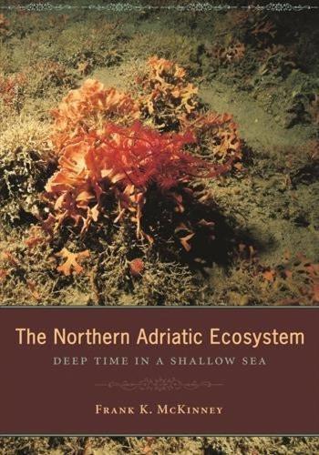 Бумажная книга «The Northern Adriatic Ecosystem: Deep Time in a Shallow Sea», автор Фрэнк Маккинни - фото №1