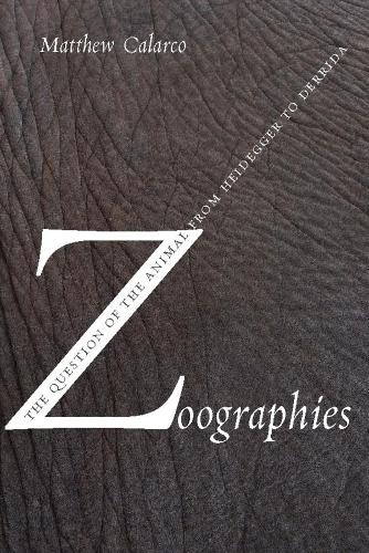 Бумажная книга «Zoographies: The Question of the Animal from Heidegger to Derrida», автор Мэтью Каларко - фото №1