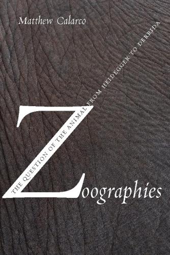 Бумажная книга «Zoographies: The Question of the Animal from Heidegger to Derrida», автор Мэтью Каларко - фото №1