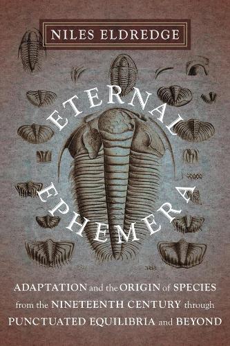 [object Object] «Eternal Ephemera: Adaptation and the Origin of Species from the Nineteenth Century Through Punctuated Equilibria and Beyond», автор Найлс Элдредж - фото №1