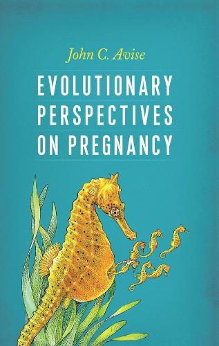 Бумажная книга «Evolutionary Perspectives on Pregnancy», автор Джон Авиз - фото №1