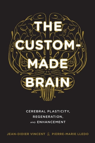 Паперова книга «The Custom-Made Brain: Cerebral Plasticity, Regeneration, and Enhancement», авторів Жан-Дідьє Вінсент, П'єр-Марі Лледо - фото №1