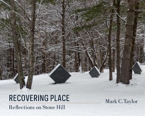 Бумажная книга «Recovering Place: Reflections on Stone Hill», автор Марк К. Тейлор - фото №1