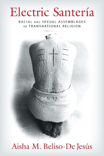 Бумажная книга «Electric Santería: Racial and Sexual Assemblages of Transnational Religion», автор Аиша М. Белисо-Де Хесус - фото №1