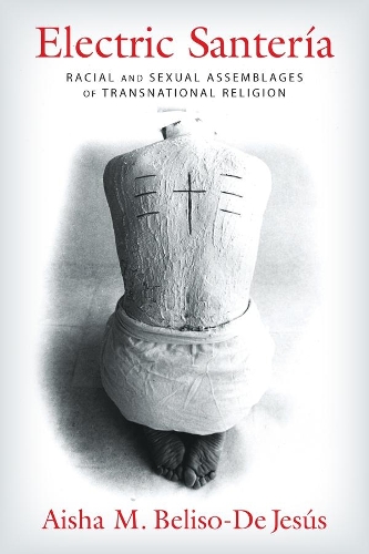 Бумажная книга «Electric Santería: Racial and Sexual Assemblages of Transnational Religion», автор Аиша М. Белисо-Де Хесус - фото №1