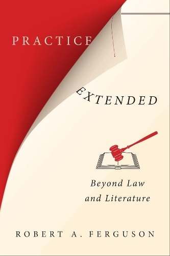Бумажная книга «Practice Extended: Beyond Law and Literature», автор Роберт А. Фергюсон - фото №1