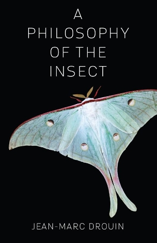 Бумажная книга «A Philosophy of the Insect», автор Жан-Марк Друэн - фото №1