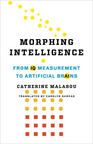 Паперова книга «Morphing Intelligence: From IQ Measurement to Artificial Brains», автор Катрін Малабу - фото №1