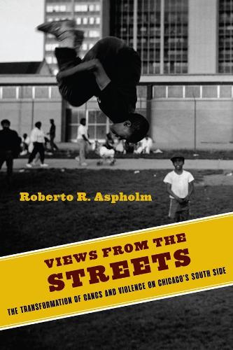 Бумажная книга «Views from the Streets: The Transformation of Gangs and Violence on Chicago's South Side», автор Роберто Асфольм - фото №1