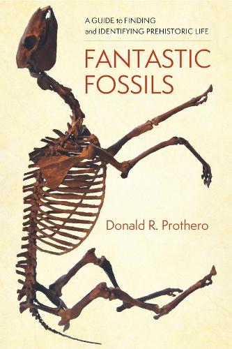 Паперова книга «Fantastic Fossils: A Guide to Finding and Identifying Prehistoric Life», автор Дональд Р. Протеро - фото №1