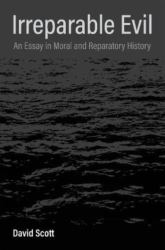 Бумажная книга «Irreparable Evil: An Essay in Moral and Reparatory History», автор Дэвид Скотт - фото №1