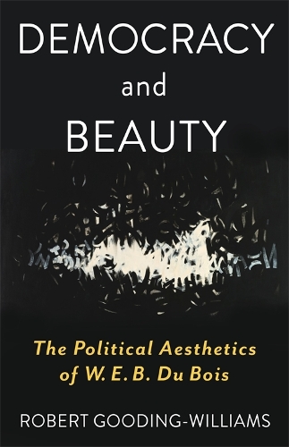 Бумажная книга «Democracy and Beauty: The Political Aesthetics of W. E. B. Du Bois», автор Роберт Гудинг-Уильямс - фото №1