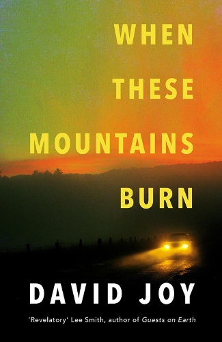 Бумажная книга «When These Mountains Burn», автор Дэвид Джой - фото №1