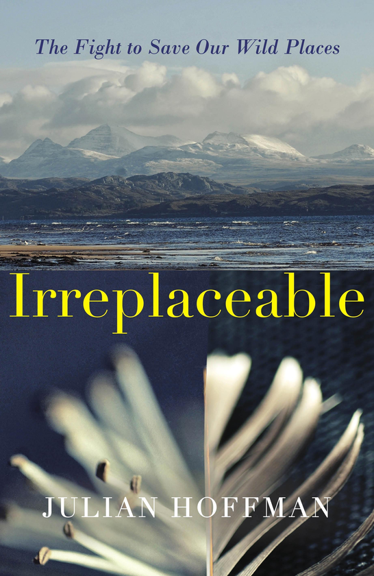 Паперова книга «Irreplaceable», автор Джуліан Хоффман - фото №1