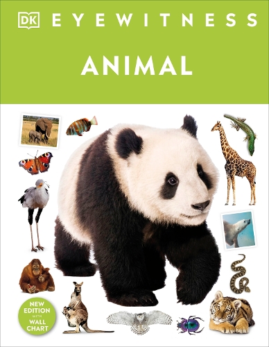 Бумажная книга «Animal», автор DK (Dorling Kindersley) - фото №1