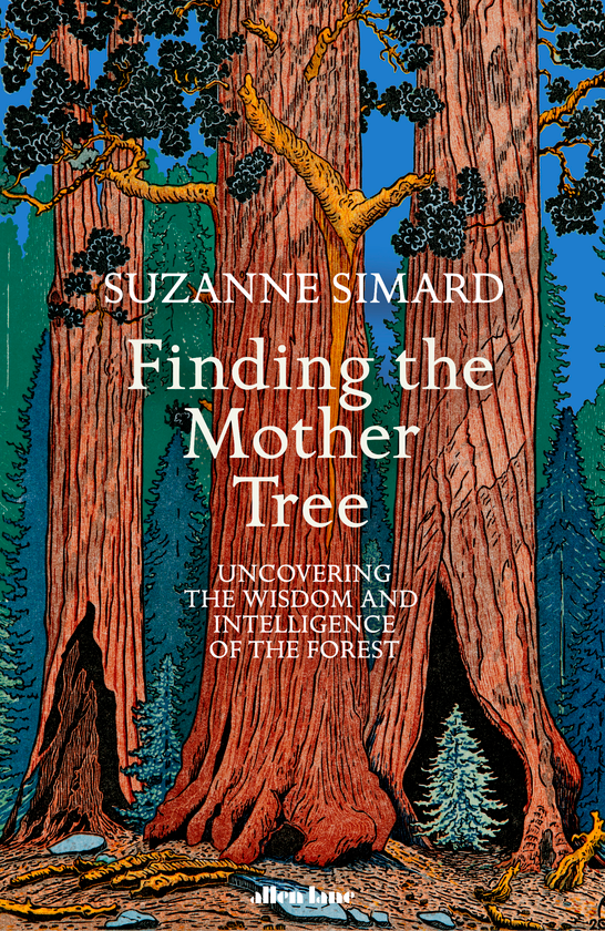Бумажная книга «Finding the Mother Tree. Uncovering the Wisdom and Intelligence of the Forest», автор Сюзанна Симард - фото №1