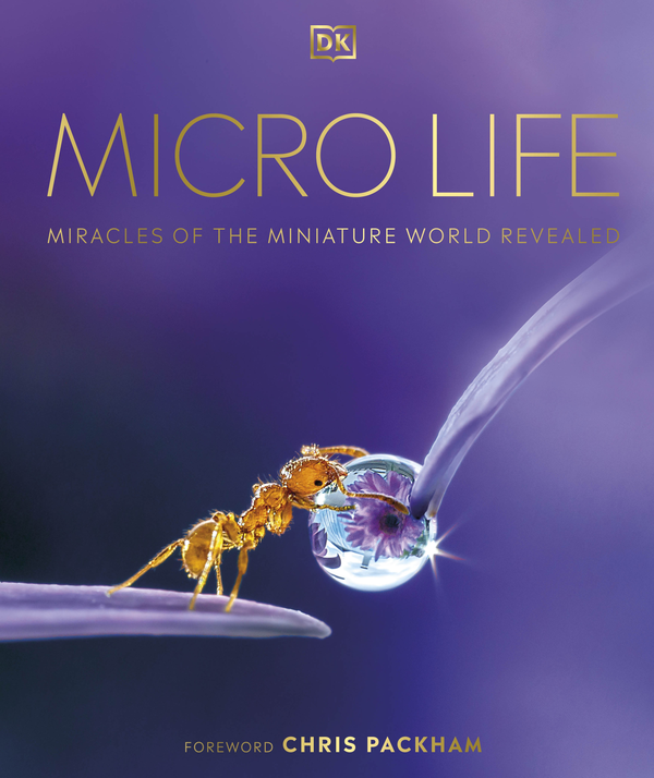 Бумажная книга «Micro Life» - фото №1
