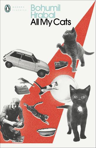 Бумажная книга «All My Cats», автор Богумил Грабал - фото №1