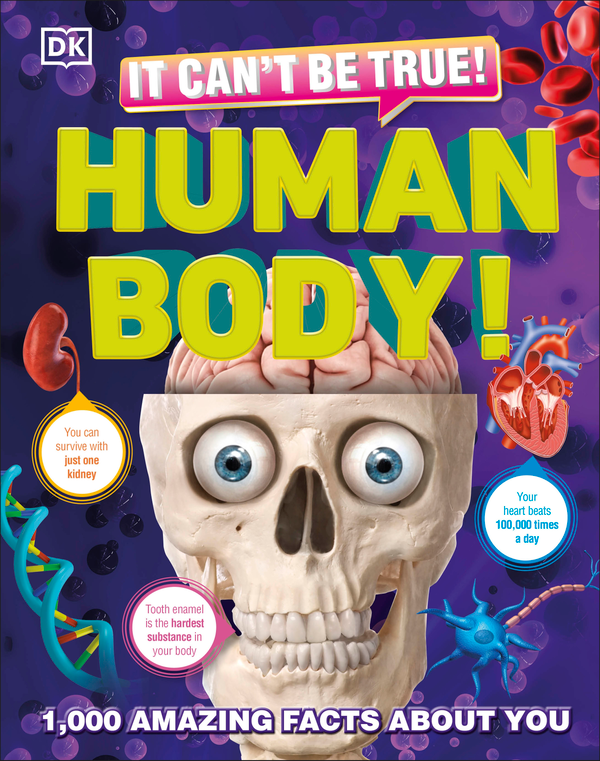 Бумажная книга «It Can't Be True! Human Body!» - фото №1