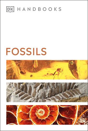 [object Object] «Fossils», автор Девід Уорд - фото №1
