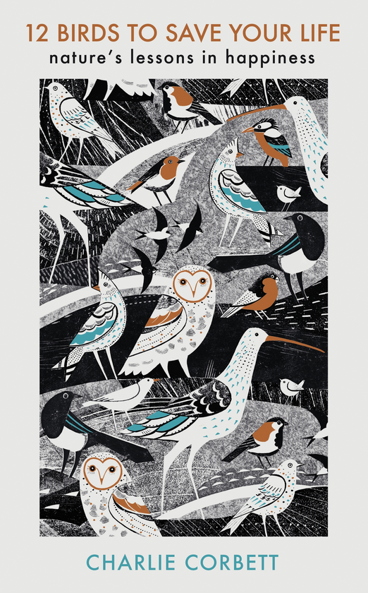 Бумажная книга «12 Birds to Save Your Life», автор Чарли Корбетт - фото №1