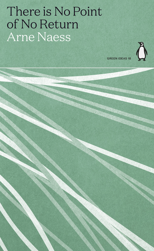 Паперова книга «There is No Point of No Return», автор Арне Несс - фото №1
