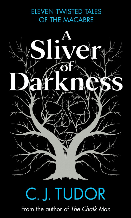 Паперова книга «A Sliver of Darkness», автор С. Дж. Тюдор - фото №1