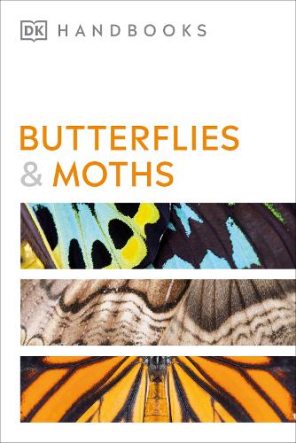 Паперова книга «Butterflies and Moths», автор Девід Картер - фото №1