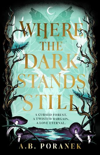 Бумажная книга «Where the Dark Stands Still», автор А.Б. Поранек - фото №1