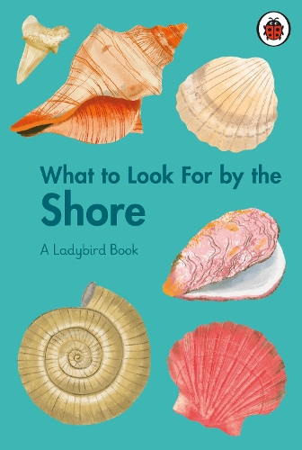 Бумажная книга «What to Look For by the Shore», автор Бекки Браун - фото №1