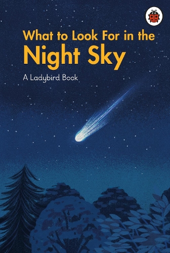 [object Object] «What to Look For in the Night Sky», автор Ladybird - фото №1