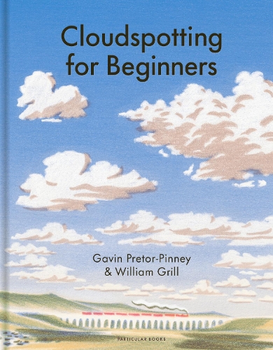Паперова книга «Cloudspotting For Beginners», автор Гевін Претор-Пінні - фото №1