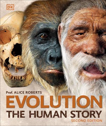 Бумажная книга «Evolution: The Human Story», автор Алиса Робертс - фото №1