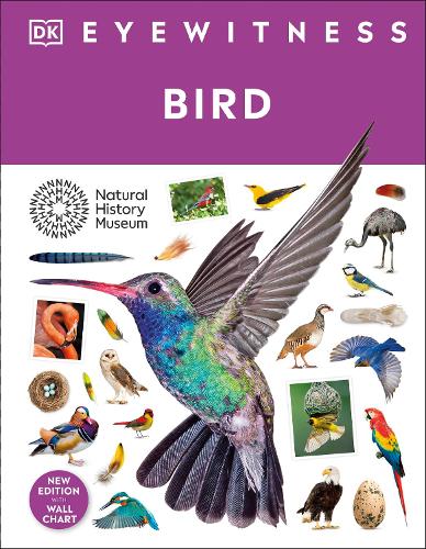 Бумажная книга «Bird», автор DK (Dorling Kindersley) - фото №1