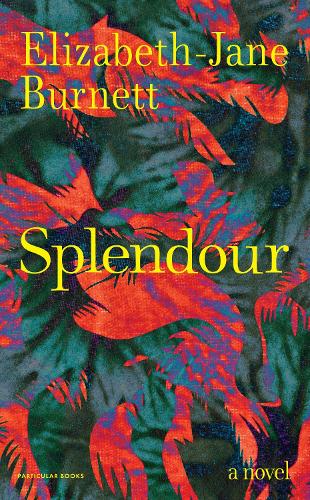 Паперова книга «Splendour: A Novel», автор Елізабет-Джейн Бернетт - фото №1