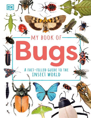 Бумажная книга «My Book of Bugs: A Fact-Filled Guide to the Insect World», автор DK (Dorling Kindersley) - фото №1
